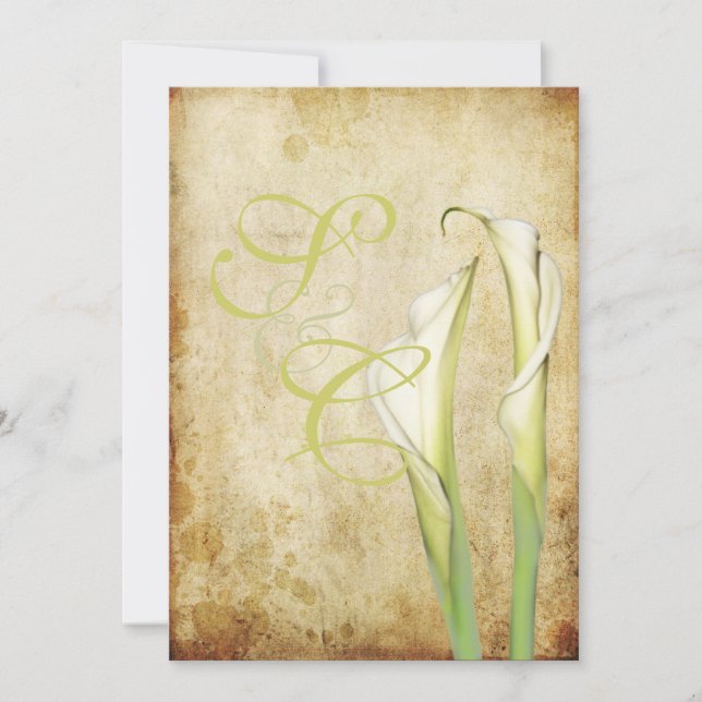 PixDezines Vintage White Calla lilies Invitation (Front)