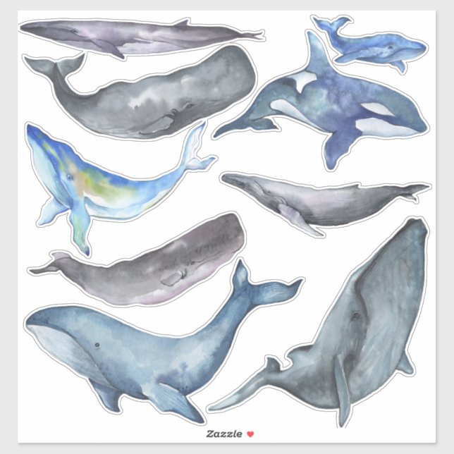 PixDezines Watercolor Whales Sticker (Sheet)