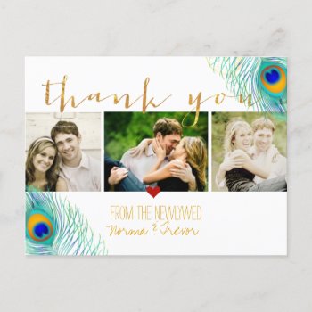 Pixdezines Wedding Thank You/peacock Feather Announcement Postcard by custom_stationery at Zazzle