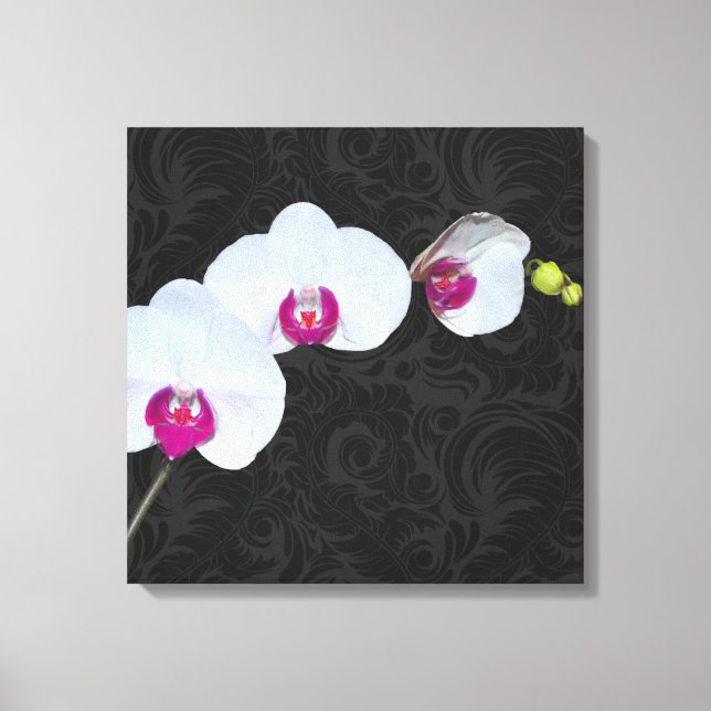PixDezines White Orchid/DIY Background Color Canvas Print (Front)