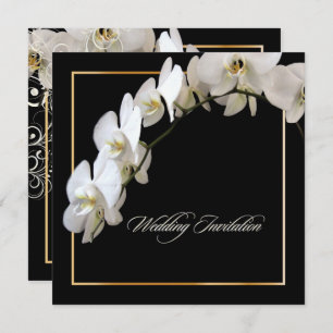 PixDezines WHITE ORCHID/PHALAENOPSIS/DIY color Invitation
