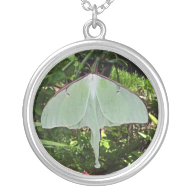 Pixie Globes - Luna Moth Silver Plated Necklace (Front)