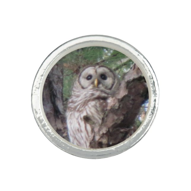 Pixie Globes - Owl ring (Front)