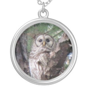 Pixie Globes - Owl Silver Plated Necklace