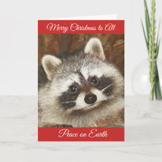 Pixie Raccoon Christmas Greetings Holiday Card