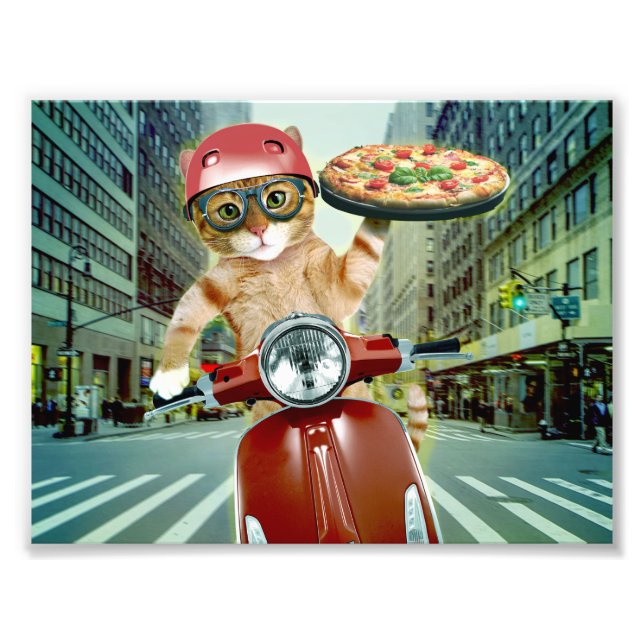 Pizza cat - cat - pizza delivery photo print (Front)