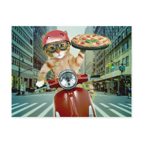 Pizza cat - cat - pizza delivery postcard