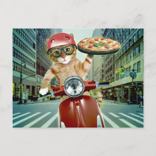 Pizza cat - cat - pizza delivery postcard