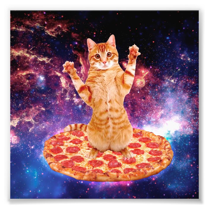 pizza cat orange cat space cat photo print