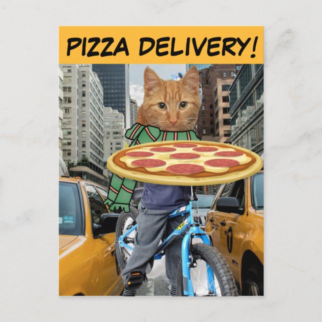 PIZZA DELIVERY! CAT NYC POSTCARDS (Front)