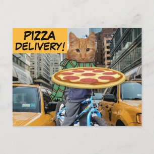 PIZZA DELIVERY! CAT POSTCARDS