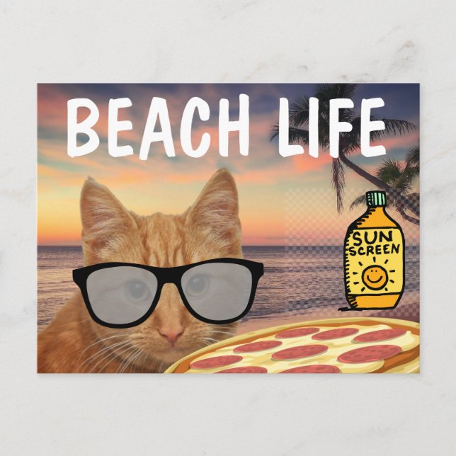 PIZZA GINGER CAT BEACH SUNGLASSES POSTCARD (Front)