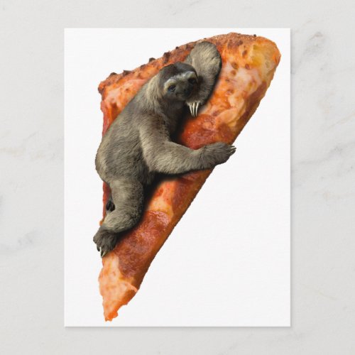 Pizza Sloth Postcard