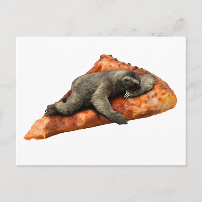 Pizza Sloth Postcard (Front)