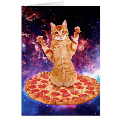 Pizza space cat