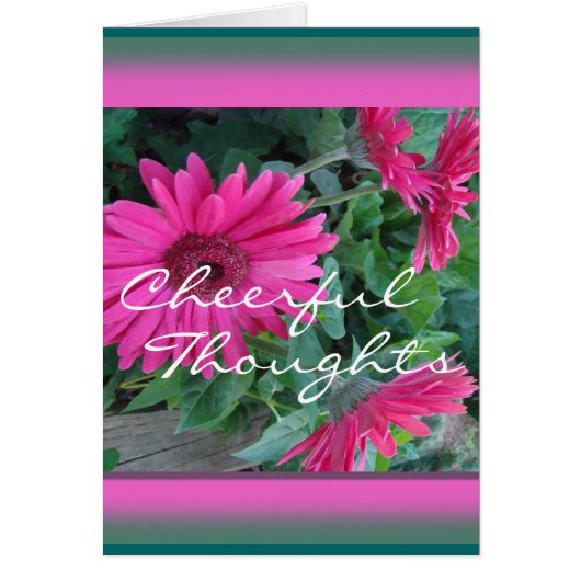 Pk Gerber Daisy Card-customize any occasion (Front)