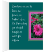 Pk Gerber Daisy Card-customize any occasion (Inside (Right))
