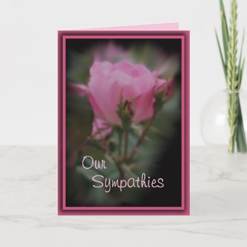 Pk Knockout Rose Sympathy_ customize any occasion Card