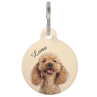 Placa para Mascotas Personalizada | Chapita Editab Pet ID Tag