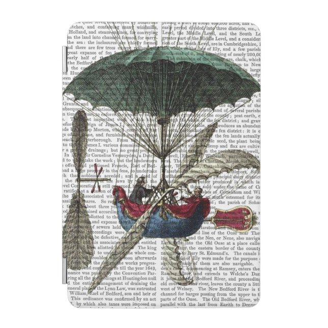Place Du Louvre Hot Air Balloon iPad Mini Cover (Front)