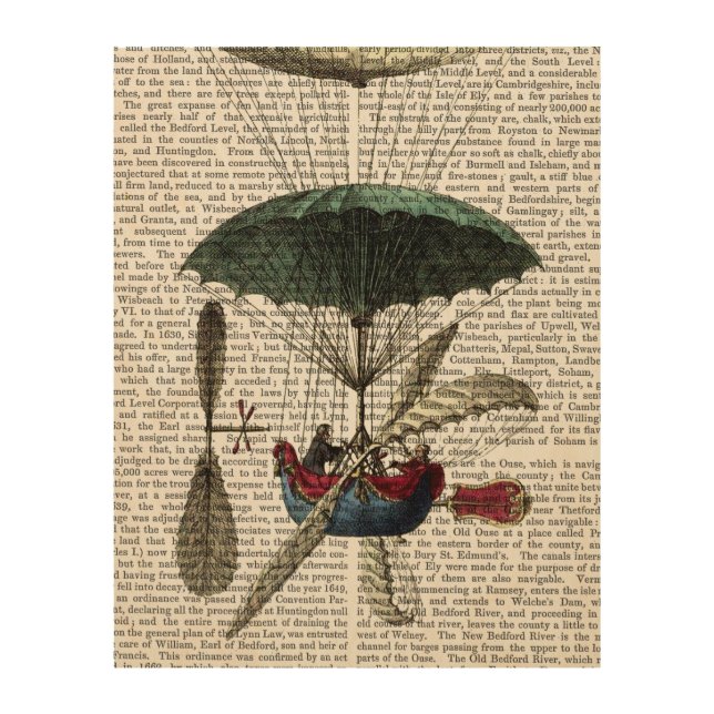 Place Du Louvre Hot Air Balloon Wood Wall Decor (Front)