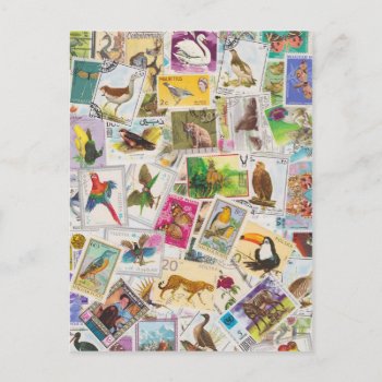 Place Stamp Here Postcard by aftermyart at Zazzle