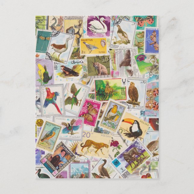 Place Stamp Here Postcard (Front)