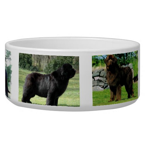 Place Your Image Here 6 image template Dog Bowl
