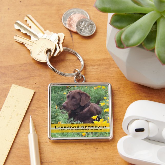 Placeholder Chocolate Lab Custom Photo and Text Keychain (Desk)