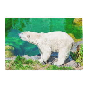 Placemat polar bear
