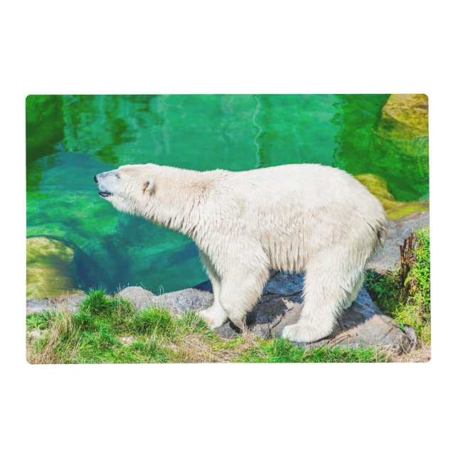 Placemat polar bear (Back)