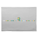 North
 South
 East
 West
 800 steel street Ny City by: Janelle H Cooper  Placemats