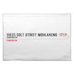 11835 Colt Street Mohlakeng   Placemats