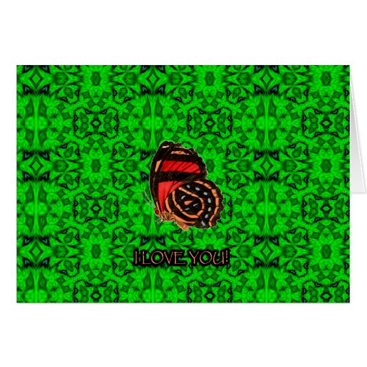 PLAD37-027 (Front Horizontal)