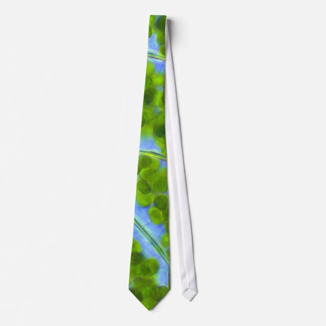 Plagiomnium Affine Plant Cells with Chloroplasts Neck Tie (Front)
