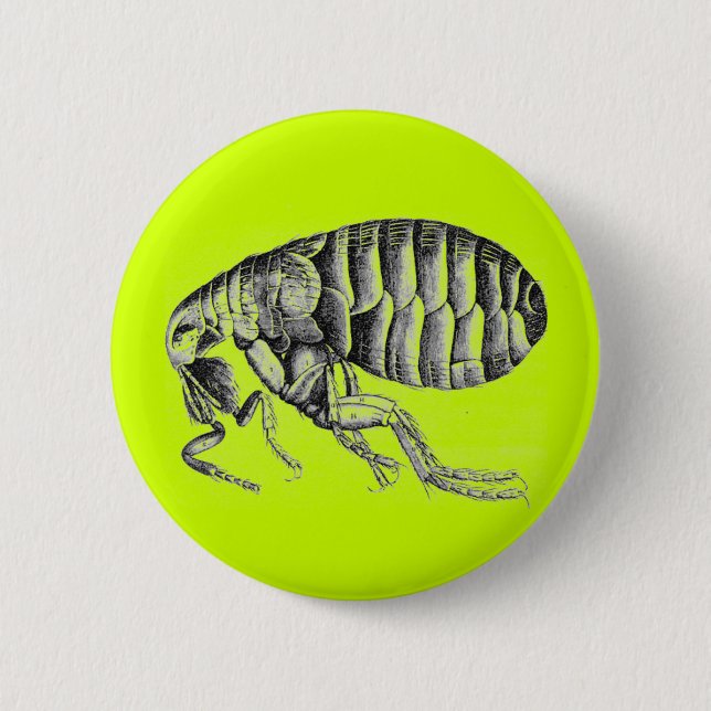 Plague flea pinback button (Front)