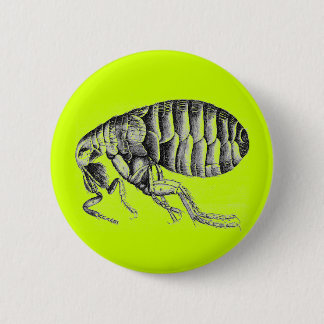 Plague flea pinback button