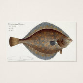 Plaice (Pleuronectes Platessa) plate XLII from 'Ic (Back)