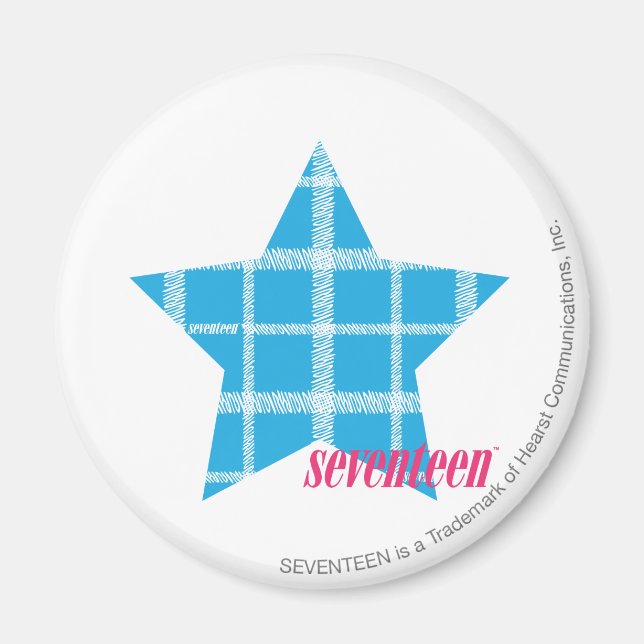 Plaid Aqua 3 Magnet (Front)