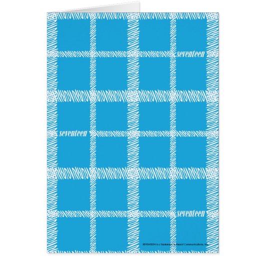 Plaid Aqua Cards (Front)