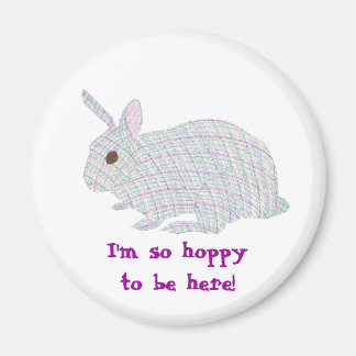 Plaid Bunny, I'm so hoppy to be here, magnets