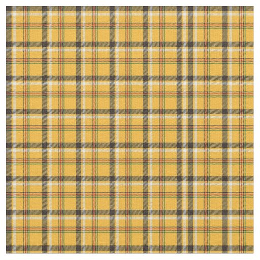 Plaid fabric !
