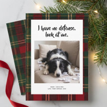 Plaid Funny Cute Dog Photo Christmas Holiday Card