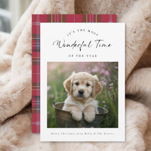 Plaid Funny Dog Lovers Christmas Cards