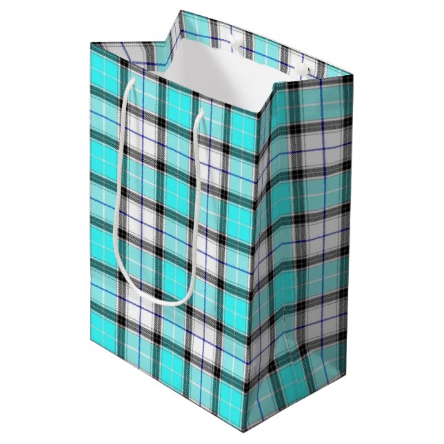 Plaid Medium Gift Bag (Front Angled)