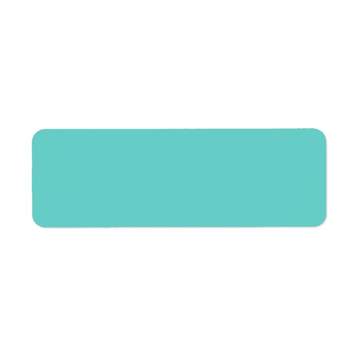 Plain aqua turquoise blue solid background blank return address labels