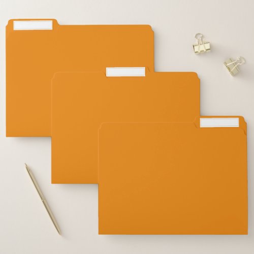 Plain color dull orange file folder