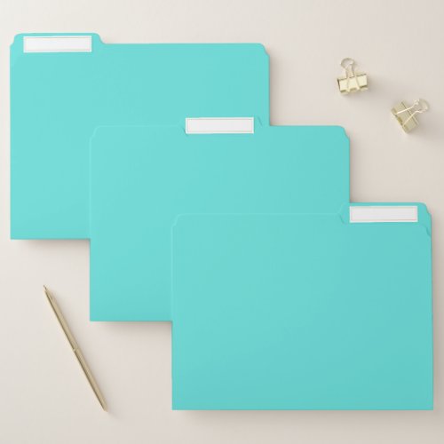 Plain color sea glass turquoise file folder