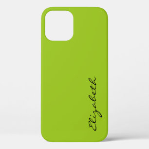 Plain Green Background iPhone 12 Pro Case