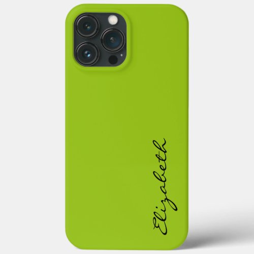 Plain Green Background iPhone 13 Pro Max Case